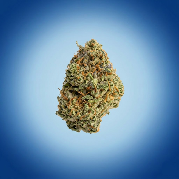 Glitter Bomb (bulk)