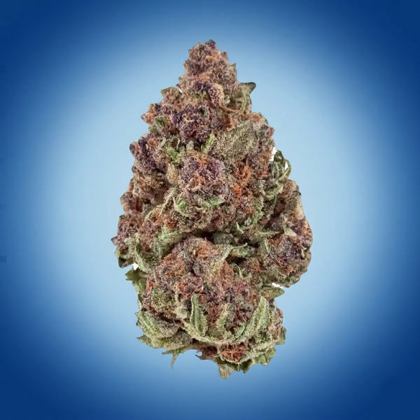 Purple Nurple