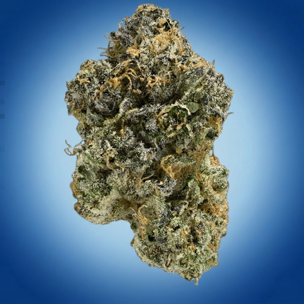 Ben Jergenhoffe OG (bulk)
