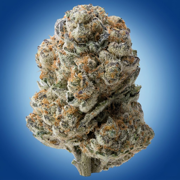 Lemon Cherry Beltz (Bulk)