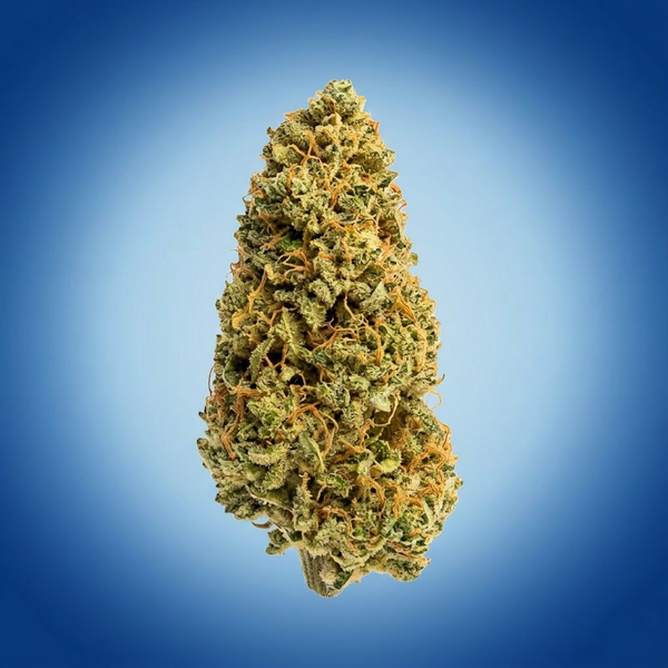 Super Jack (bulk)